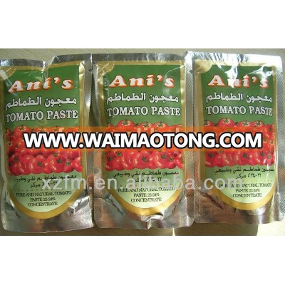 Delicious New Crops Sachet Tomato Paste 70g