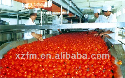 Tomato Paste Sauce 100% Natural Tomato Paste