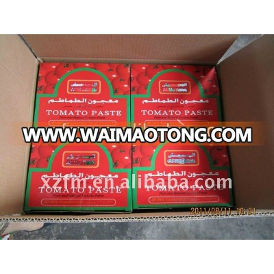 wholesale tomato Paste 70g in sachet