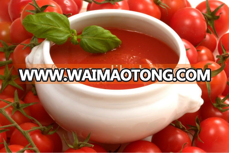 70g Tomato Paste 22-24 tomato paste factory